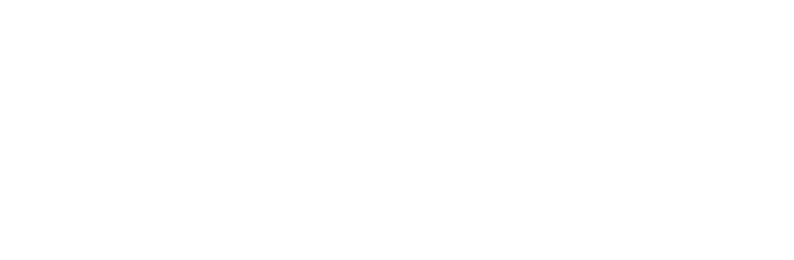 TWIN.collective