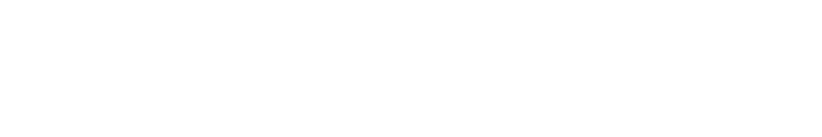 Naviparking